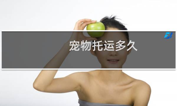 宠物托运多久