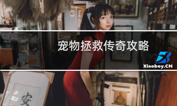 宠物拯救传奇攻略