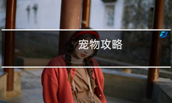 宠物攻略 魔兽