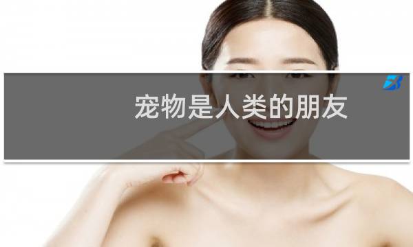 宠物是人类的朋友