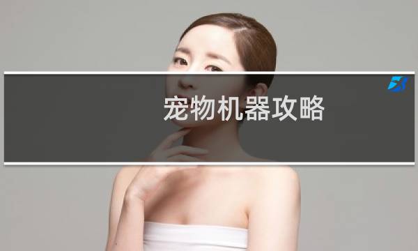 宠物机器攻略