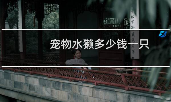 宠物水獭多少钱一只