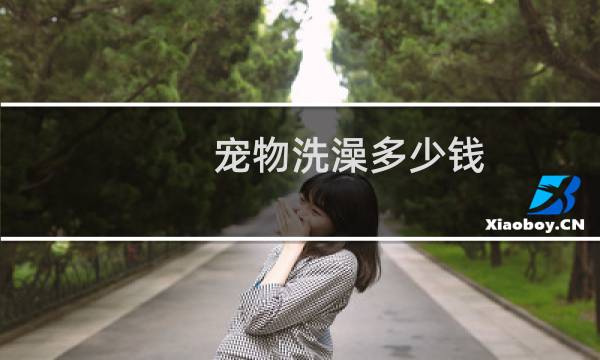 宠物洗澡多少钱