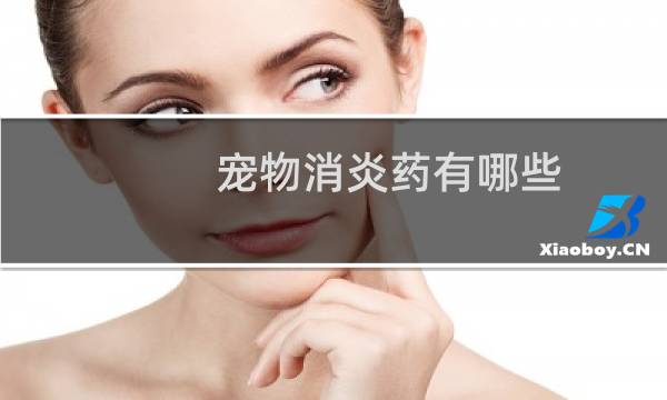 宠物消炎药有哪些