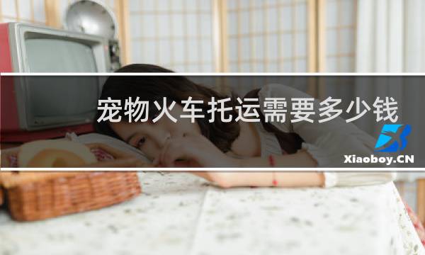 宠物火车托运需要多少钱