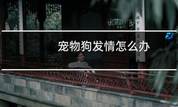 宠物狗发情怎么办