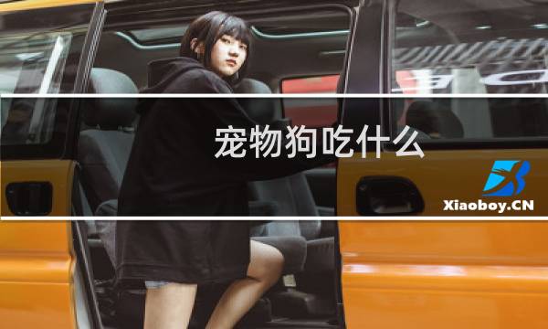 宠物狗吃什么