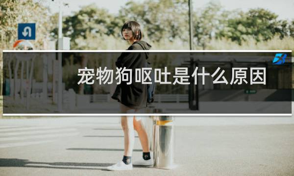 宠物狗呕吐是什么原因