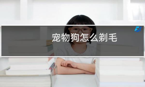 宠物狗怎么剃毛
