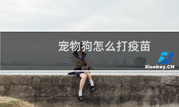 宠物狗怎么打疫苗