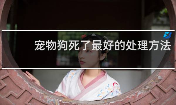宠物狗死了最好的处理方法
