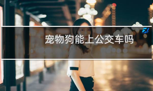 宠物狗能上公交车吗
