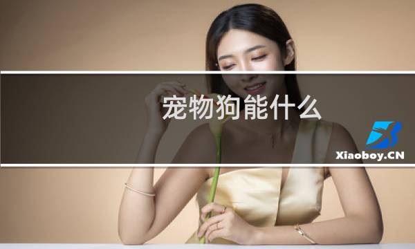 宠物狗能什么