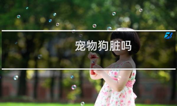 宠物狗脏吗