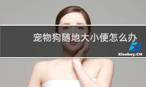 宠物狗随地大小便怎么办