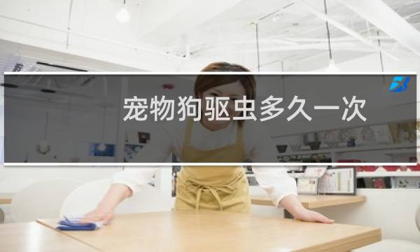 宠物狗驱虫多久一次