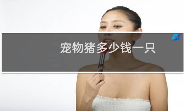 宠物猪多少钱一只