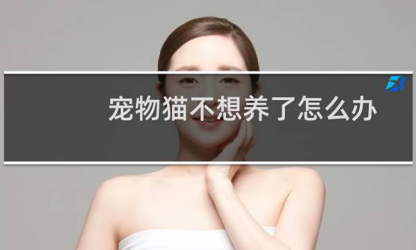 宠物猫不想养了怎么办