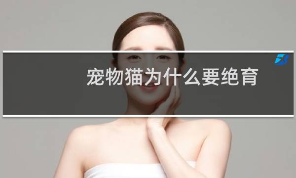 宠物猫为什么要绝育