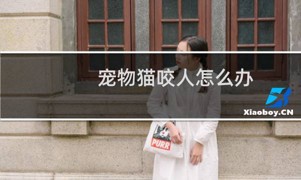 宠物猫咬人怎么办