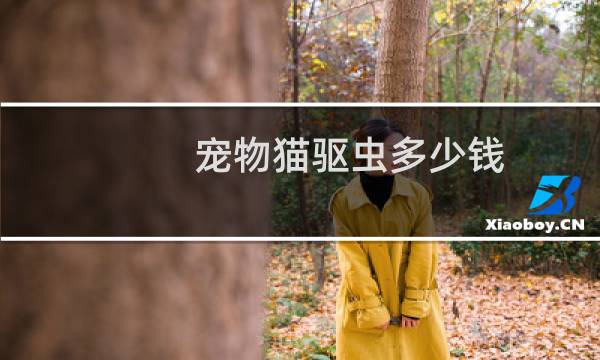 宠物猫驱虫多少钱