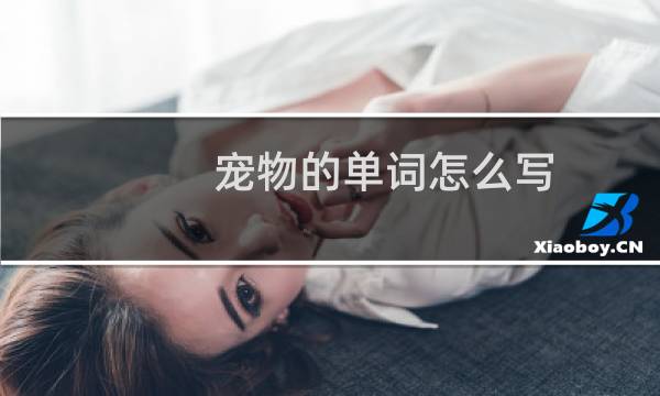 宠物的单词怎么写