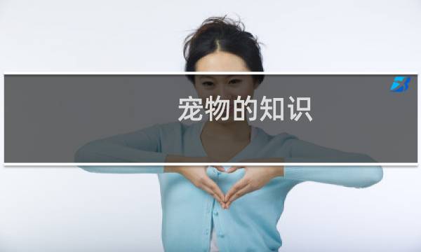 宠物的知识