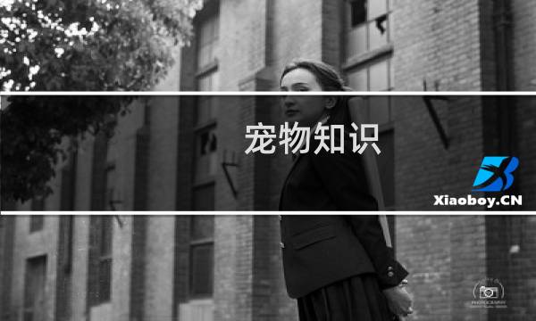 宠物知识