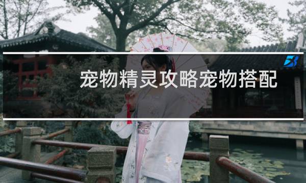 宠物精灵攻略宠物搭配