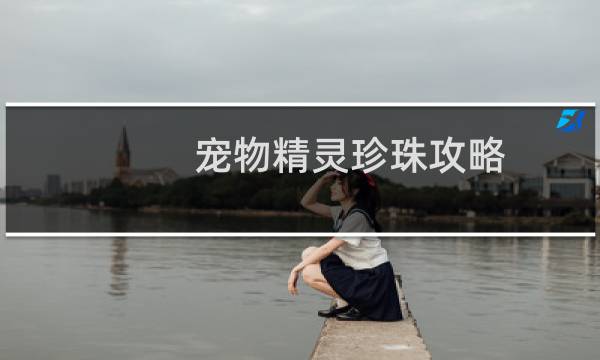 宠物精灵珍珠攻略