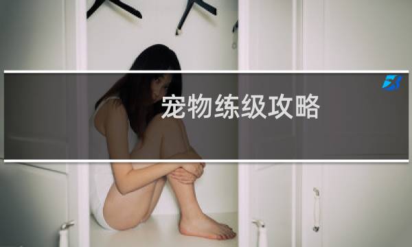 宠物练级攻略
