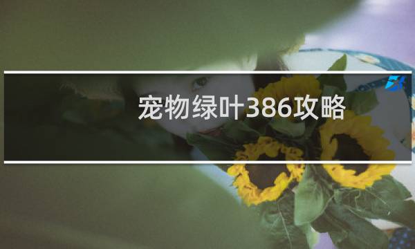 宠物绿叶386攻略