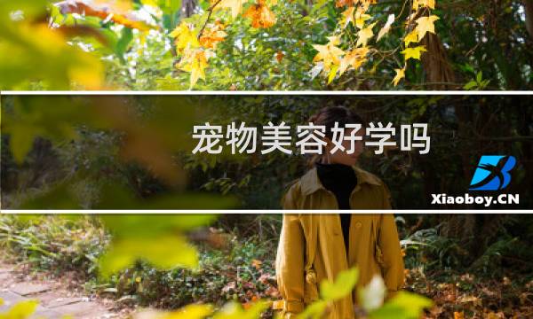 宠物美容好学吗