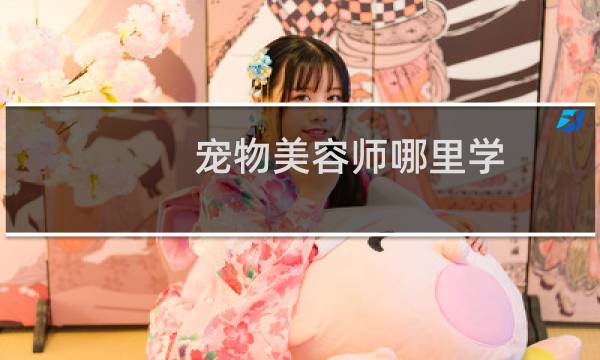 宠物美容师哪里学