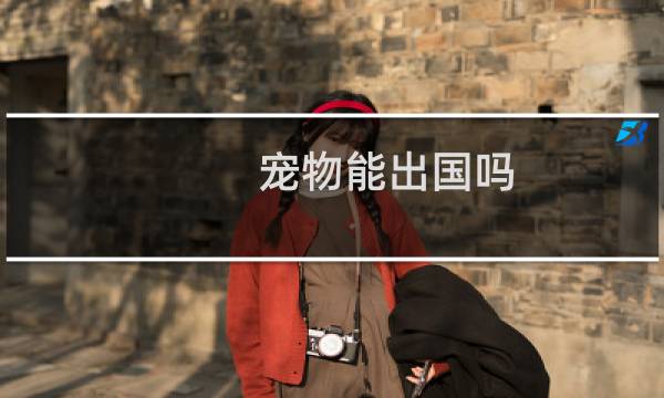 宠物能出国吗