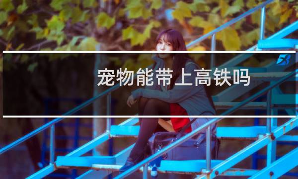 宠物能带上高铁吗