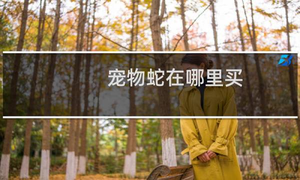 宠物蛇在哪里买