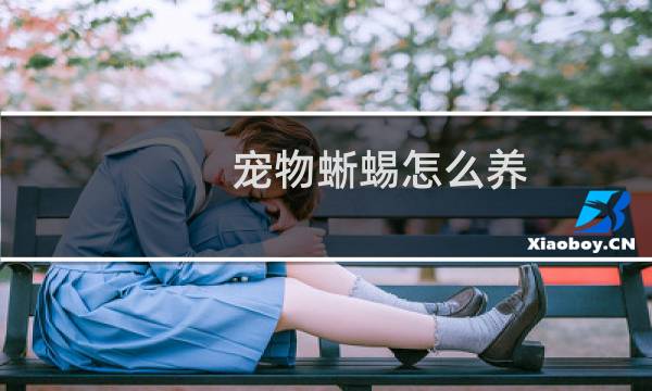 宠物蜥蜴怎么养