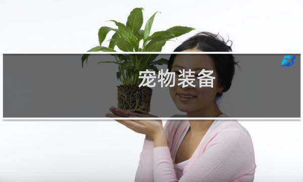 宠物装备 洛克王国