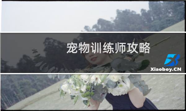 宠物训练师攻略