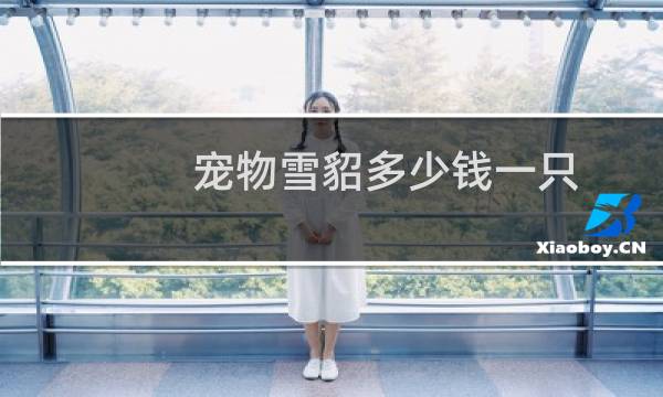 宠物雪貂多少钱一只