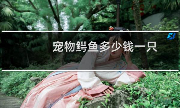 宠物鳄鱼多少钱一只