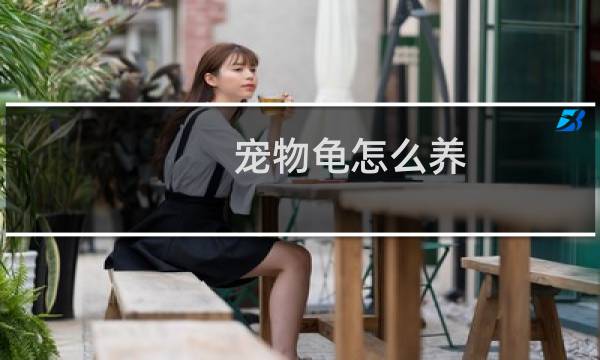 宠物龟怎么养