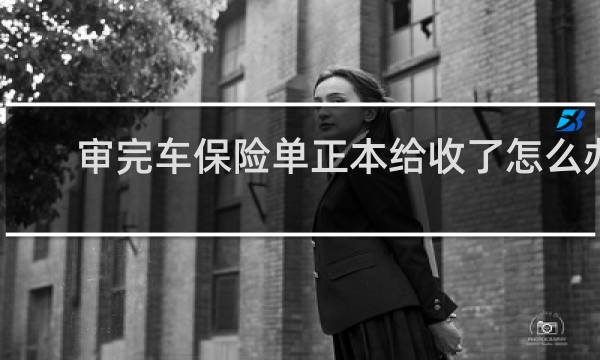审完车保险单正本给收了怎么办