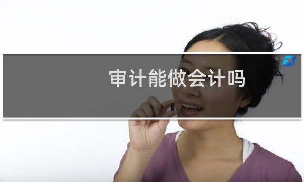 审计能做会计吗