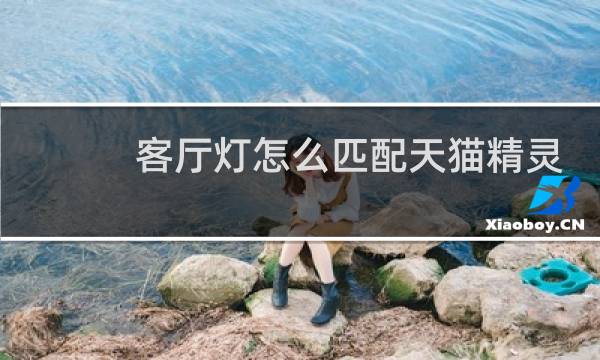 客厅灯怎么匹配天猫精灵