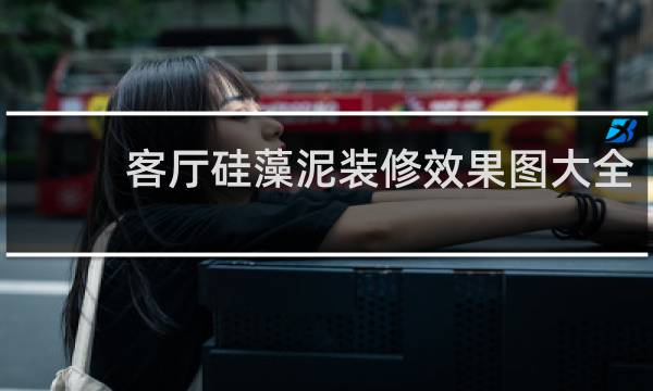 客厅硅藻泥装修效果图大全