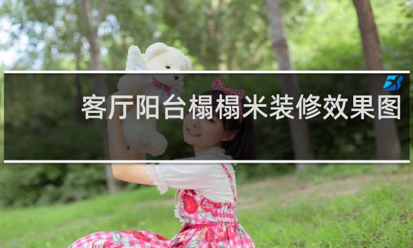 客厅阳台榻榻米装修效果图