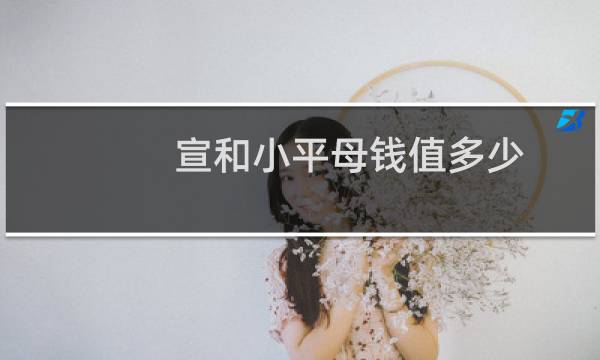宣和小平母钱值多少