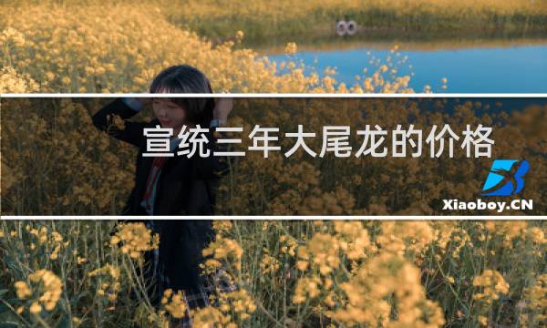 宣统三年大尾龙的价格